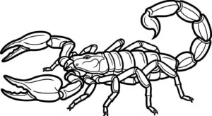 Desenho de Escorpiao Desenho Colorir Imprimir 36