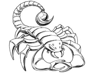 Desenho de Escorpiao Desenho Colorir Imprimir 37