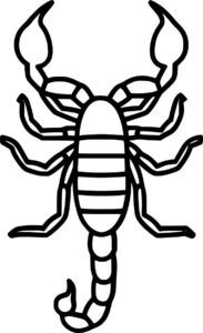 Desenho de Escorpiao Desenho Colorir Imprimir 38