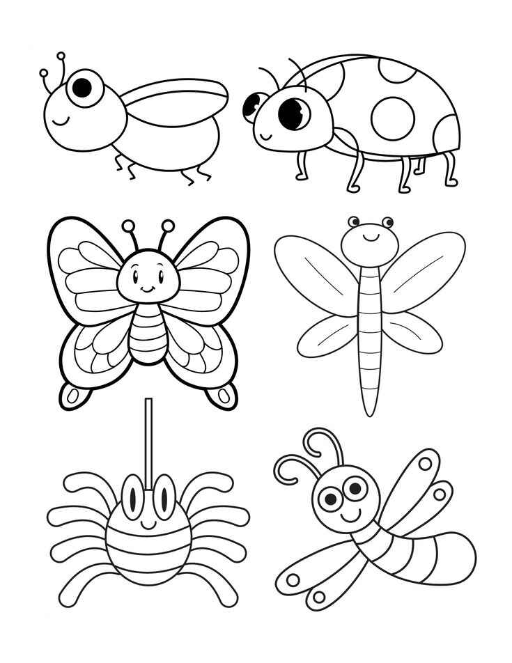 Desenho de Insetos Desenho Colorir Imprimir 05