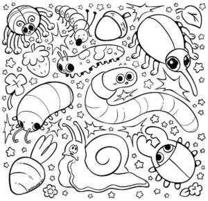 Desenho de Insetos Desenho Colorir Imprimir 26