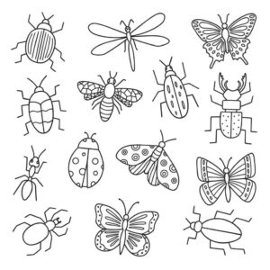 Desenho de Insetos Desenho Colorir Imprimir 28