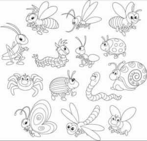 Desenho de Insetos Desenho Colorir Imprimir 33