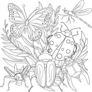 Desenho de Insetos Desenho Colorir Imprimir 38