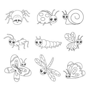 Desenho de Insetos Desenho Colorir Imprimir 40
