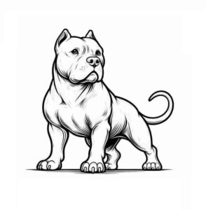 Desenho de Pitbull Desenho Colorir Imprimir 15