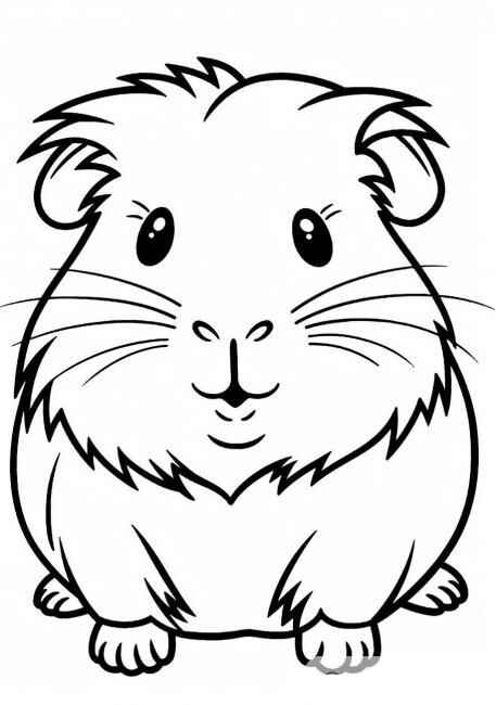 Desenho de Porquinho Da India Desenho Colorir Imprimir 11