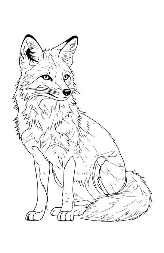 Desenho de Raposa Desenho Colorir Imprimir 11