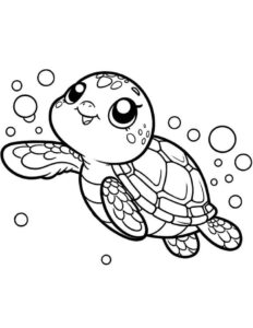 Desenho de Tartaruga Desenho Colorir Imprimir 05