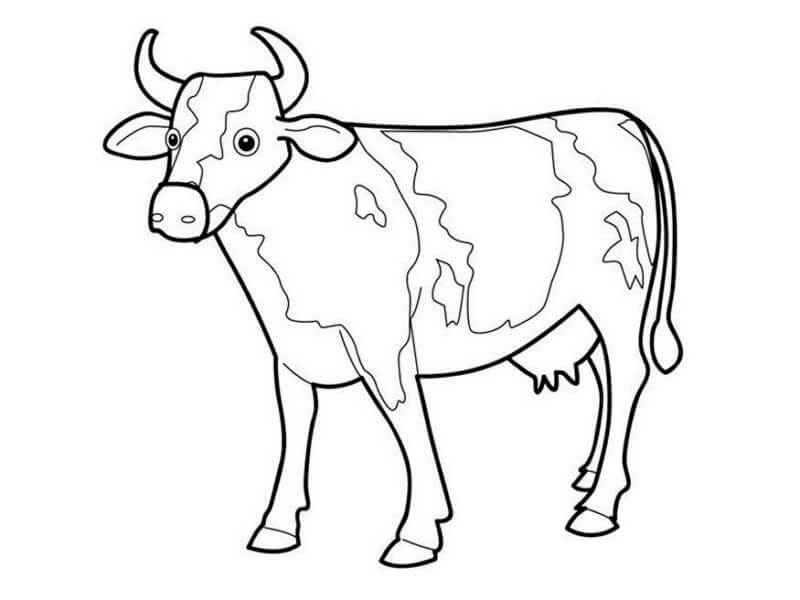 Desenho de Vaca Desenho Colorir Imprimir 18