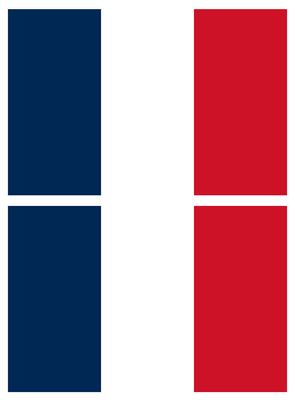 Desenho de Bandeiras Da França Para Imprimir