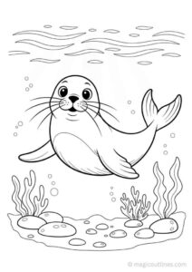 Desenho de Foca Desenho Colorir Imprimir 05