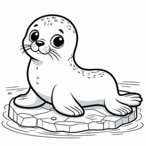 Desenho de Foca Desenho Colorir Imprimir 29