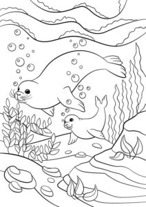 Desenho de Foca Desenho Colorir Imprimir 37