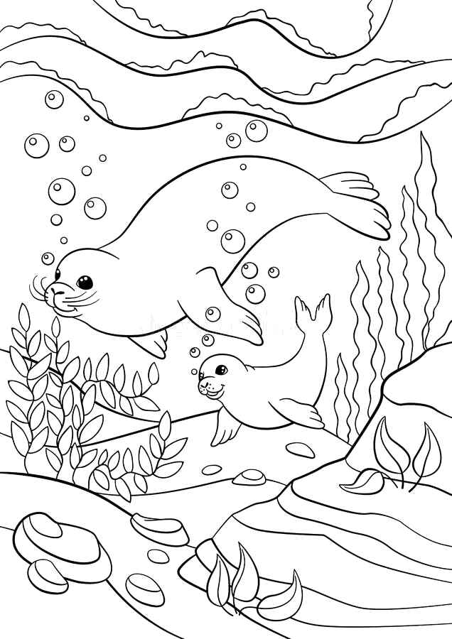 Desenho de Foca Desenho Colorir Imprimir 37