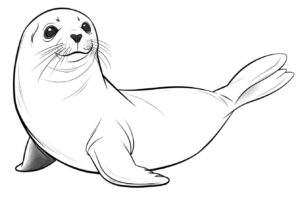 Desenho de Foca Desenho Colorir Imprimir 39