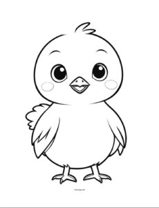 Desenho de Pintinho Desenho Colorir Imprimir 13