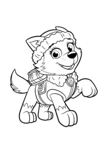 Desenho de Everest Patrulha Canina Desenho Colorir Imprimir 16