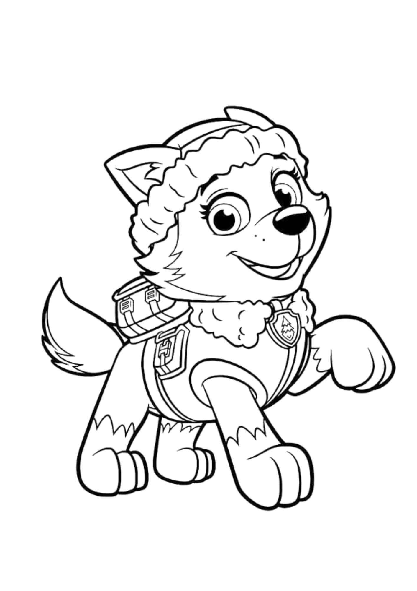 Desenho de Everest Patrulha Canina Desenho Colorir Imprimir 16