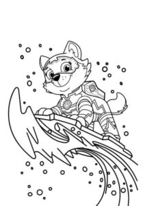 Desenho de Everest Patrulha Canina Desenho Colorir Imprimir 20