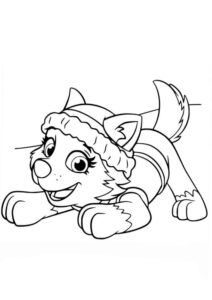 Desenho de Everest Patrulha Canina Desenho Colorir Imprimir 23