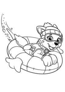 Desenho de Everest Patrulha Canina Desenho Colorir Imprimir 42