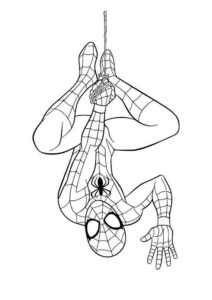 Desenho de Homem Aranha Cabeca Pra Baixo Desenho Colorir Imprimir 01