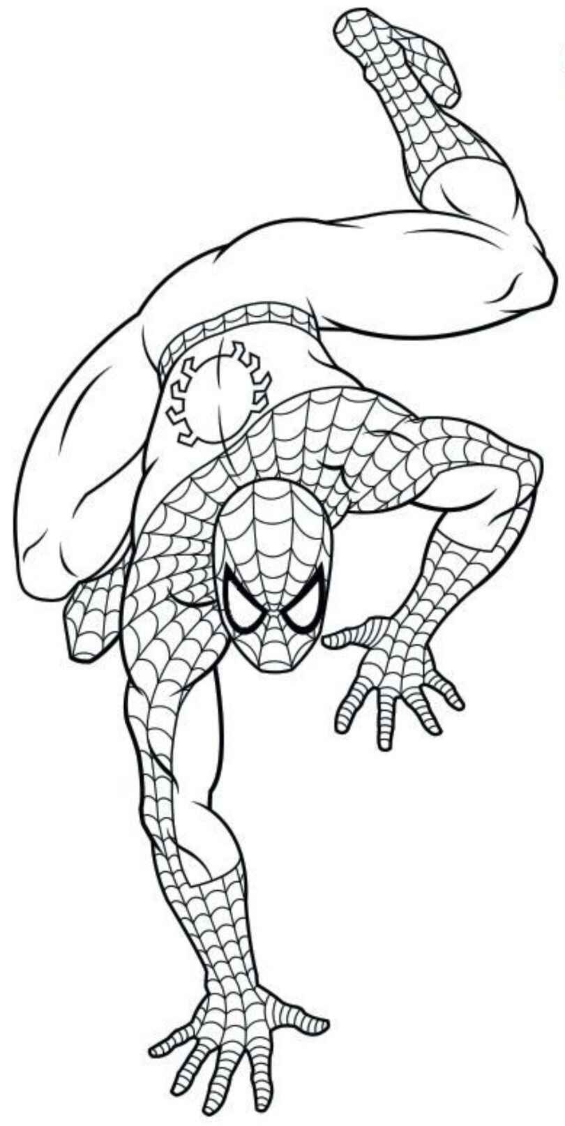 Desenho de Homem Aranha Descendo Parede Desenho Colorir Imprimir 06