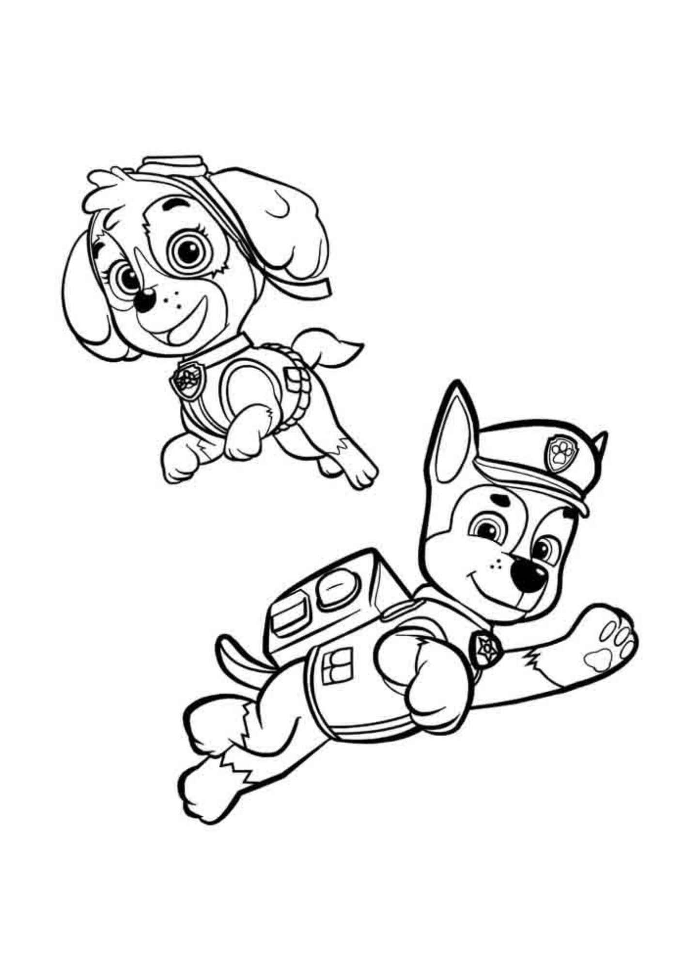 Desenho de Patrulha Canina Desenho Colorir Imprimir 18