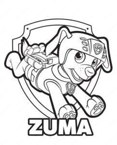 Desenho de Zuma Nome Patrulha Canina Desenho Colorir Imprimir 03