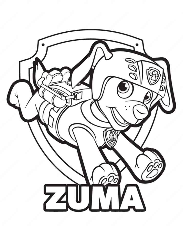 Desenho de Zuma Nome Patrulha Canina Desenho Colorir Imprimir 03