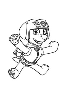 Desenho de Zuma Pose Patrulha Canina Desenho Colorir Imprimir 19